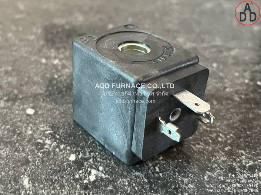 Coil Parker 481865A5 D5XA5 F (4)